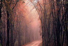 多多28:中国男篮1200万先生,成郭艾伦转会最大受益者,坐拥美模网球女友.