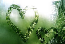 多多28:罗马诺:曼联仍旧会优先引援中锋,阿莫林还想要中后卫.