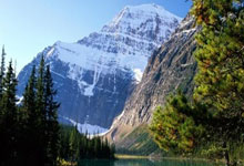 张雨霏回应是否参加洛杉矶奥运会:仍然有期待有梦想央视体育.