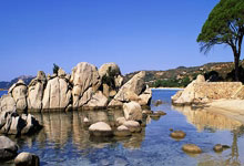 多多28：[图]拜仁1-3遭逆转 先赛领先1分末轮决战定冠军.